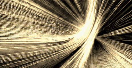 The Quantum Banks: Why a Pilot Test of Post-Quantum Wallets Is the Signal That Matters