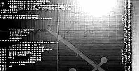 The Ghost of Shibarium: When Wallet Counts Lie and On-Chain Activity Dies The Ghost of Shibarium: When Wallet Counts Lie and On-Chain Activity Dies